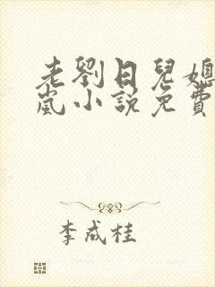 老刘日儿媳妇张岚小说免费阅读