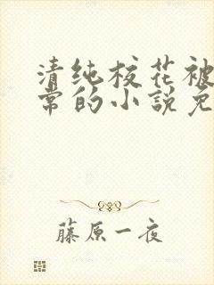 清纯校花被擒日常的小说免费阅读