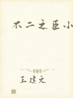 不二之臣小说