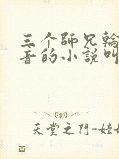 三个师兄轮流上音的小说叫什么