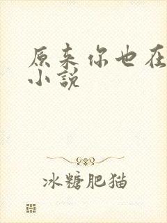 原来你也在这里小说