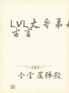 LVL大哥弟媳古言