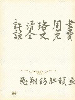 许清珞周聿衡小说全文免费阅读