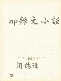 np辣文小说
