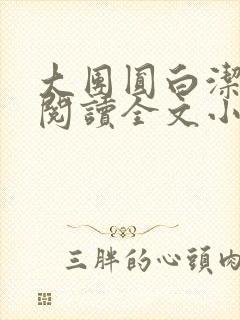 大团圆白洁免费阅读全文小说