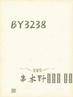 BY3238
