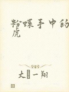 粉蝶手中的纸老虎