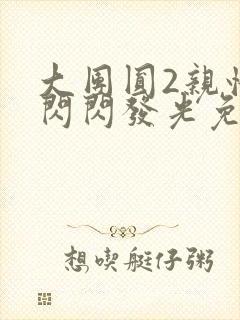 大团圆2亲情会闪闪发光免费