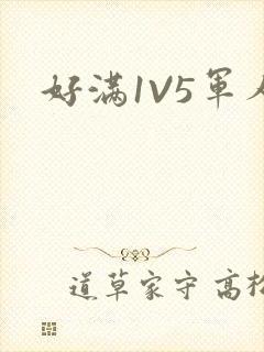 好满1V5军人
