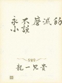 永不磨灭的番号小说