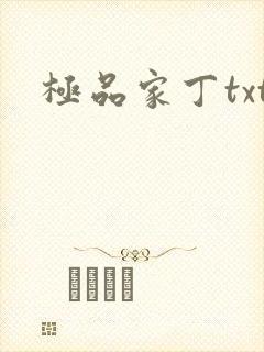 极品家丁txt