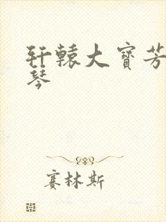 轩辕大宝芳菲雅琴