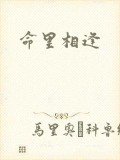 命里相逢
