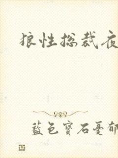 狼性总裁夜欢宠