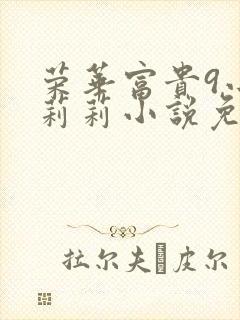 荣华富贵9小王莉莉小说免费阅读