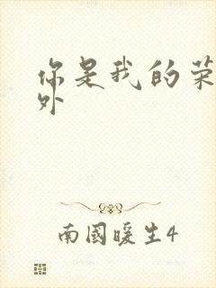 你是我的荣耀番外