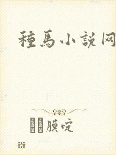 种马小说网