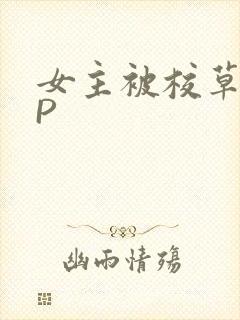 女主被校草们NP