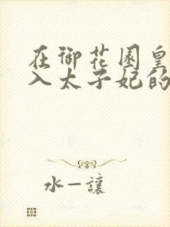 在御花园皇上进入太子妃的小说