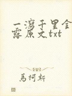 一泻千里金银花露原文txt