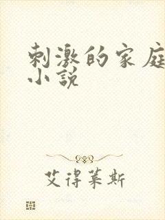 刺激的家庭乱仑小说