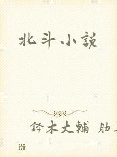 北斗小说