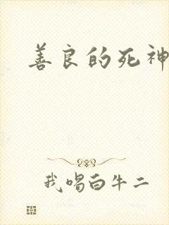 善良的死神小说
