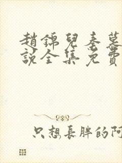 赵锦儿秦慕修小说全集免费