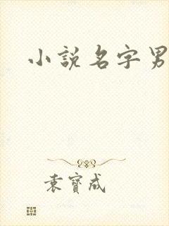 小说名字男生