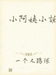 小阿姨小说