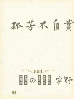 孤芳不自赏小说