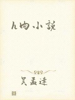h肉小说