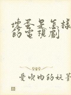 坏蛋是怎样炼成的电视剧