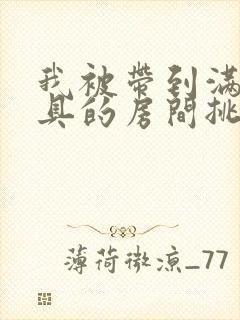 我被带到满是玩具的房间挑调作文