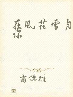 在风花雪月里等你