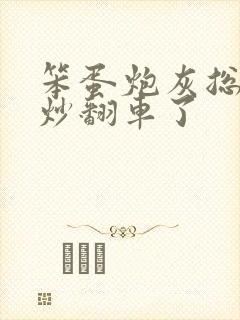 笨蛋炮灰总被爆炒翻车了