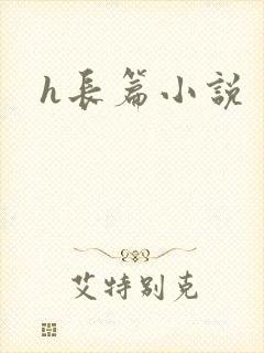 h长篇小说