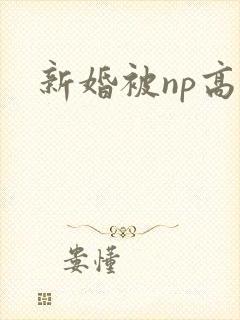 新婚被np高h