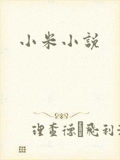 小米小说