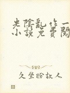 光阴乱作一团的小说免费阅读