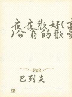 夜夜欢好(高h)公翁的欢爱