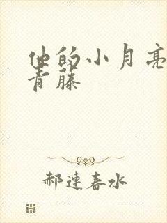 他的小月亮by青藤