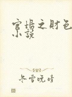 官场之财色诱人小说