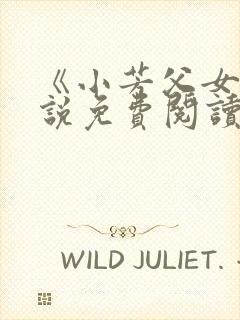 《小芳父女》小说免费阅读