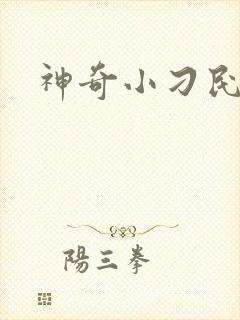 神奇小刁民
