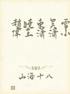 赵晓东吴雪晴郑伟王潇潇小说名字