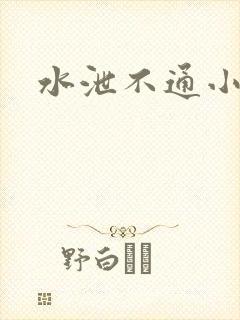 水泄不通小说