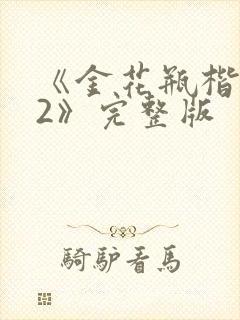 《金花瓶楷梅花2》完整版