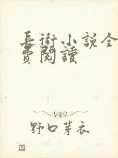 长街小说全文免费阅读