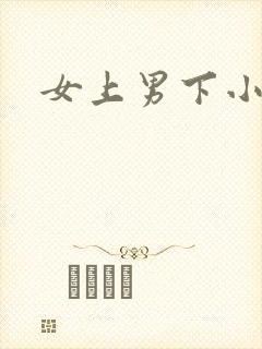 女上男下小说